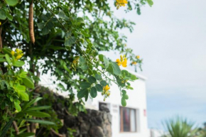 Casa Rural Yeyo en el cráter del volcán